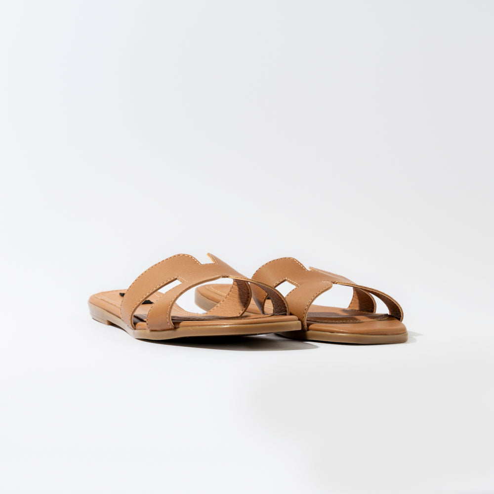 CAMEL