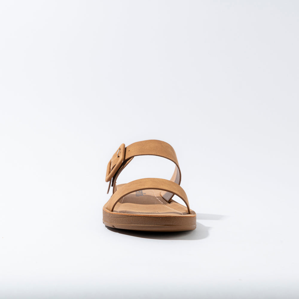TAN
